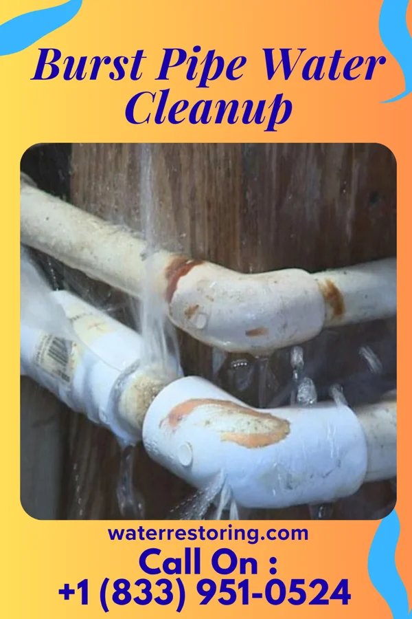 Burst Pipe Water Cleanup in Benedict, NE