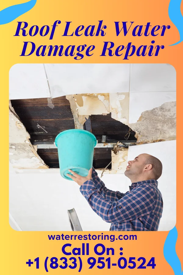 Roof Leak Water Damage Repair in Benedict, NE